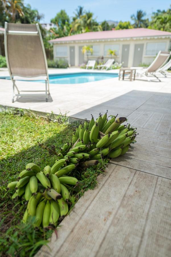 Hotel Les Bananiers Le Gosier  Ngoại thất bức ảnh